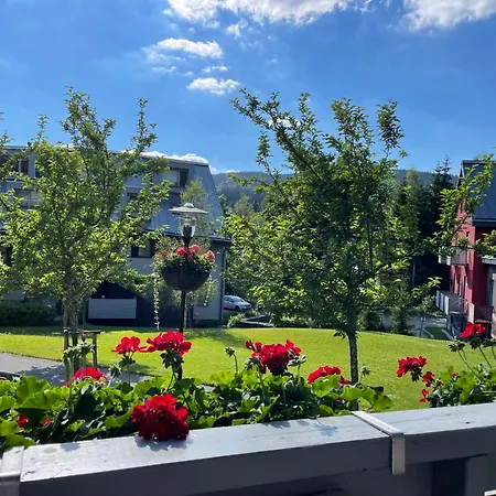 Spirit Harrachov Superior Wellness Apartments - Free Wellness, Wifi, Parking, Harrachov Card Exterior photo