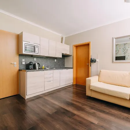 Spirit Harrachov Superior Wellness Apartments - Free Wellness, Wifi, Parking, Harrachov Card Exterior photo