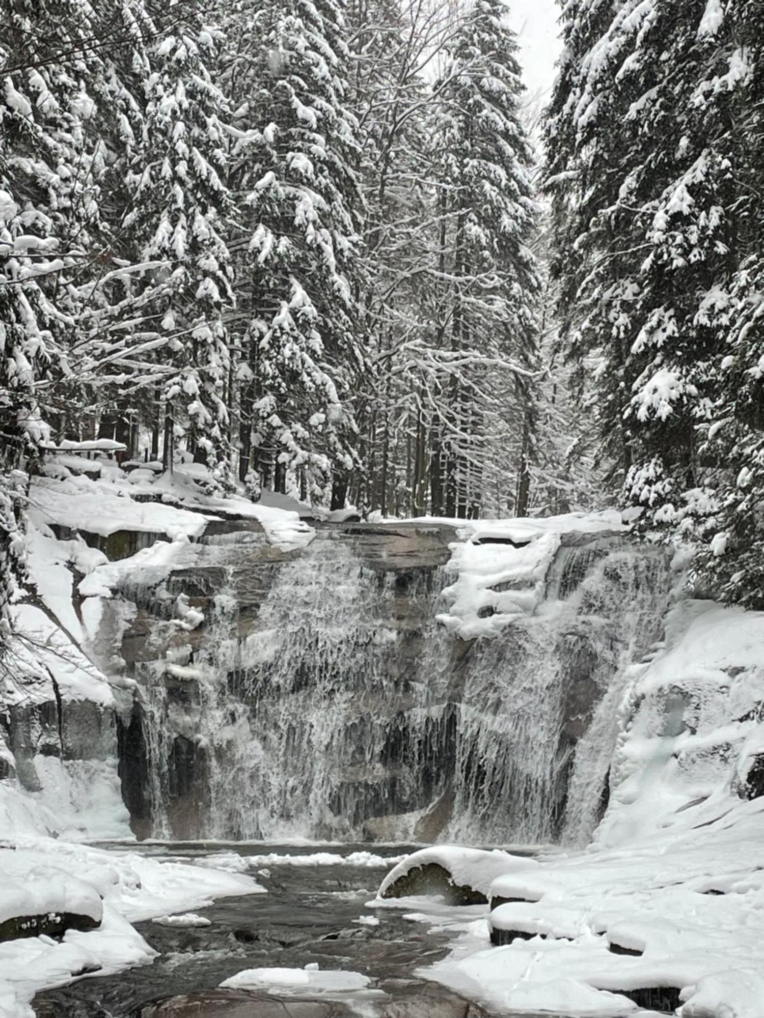 Spirit Superior Wellness - Free Wellness, Wifi, Parking, Card Harrachov