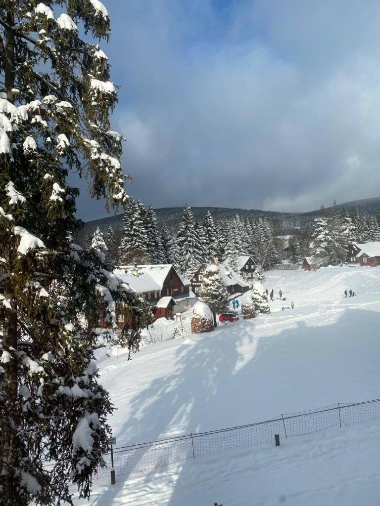 Spirit Superior Wellness - Free Wellness, Wifi, Parking, Card Apartment Harrachov