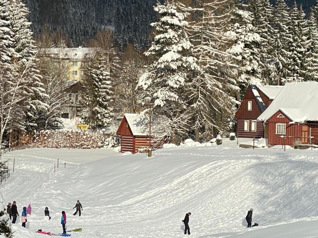Apartment Spirit Superior Wellness - Free Wellness, Wifi, Parking, Card Harrachov